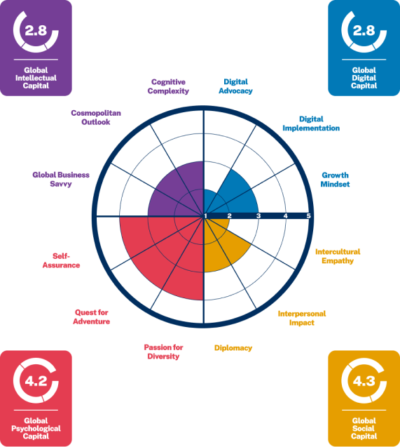 GDMI Spider Chart